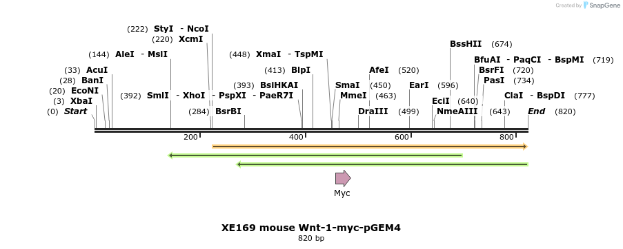 53300_map