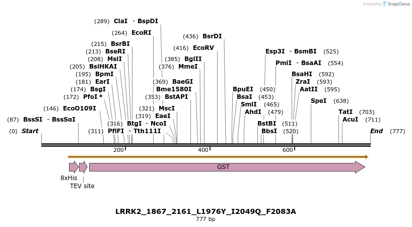 53301_map