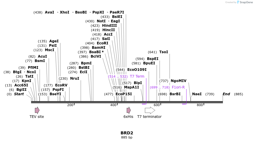 53302_map