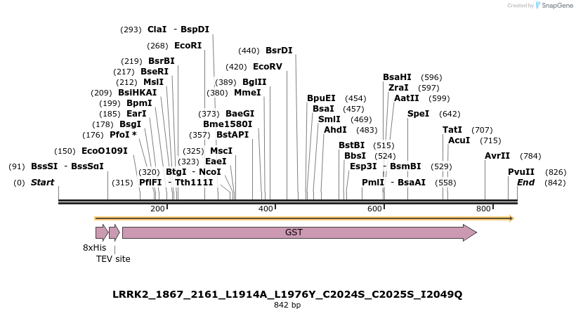 53303_map