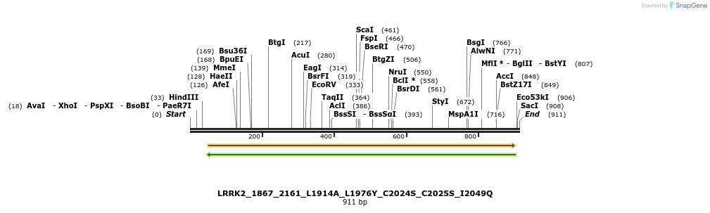 53304_map