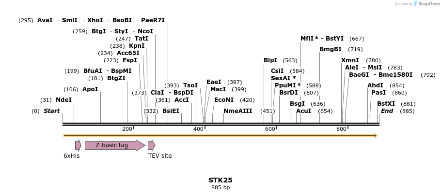 53305_map