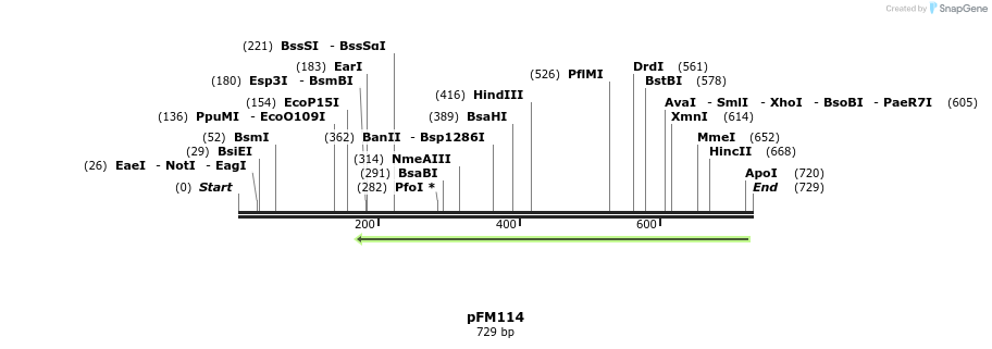 53307_map