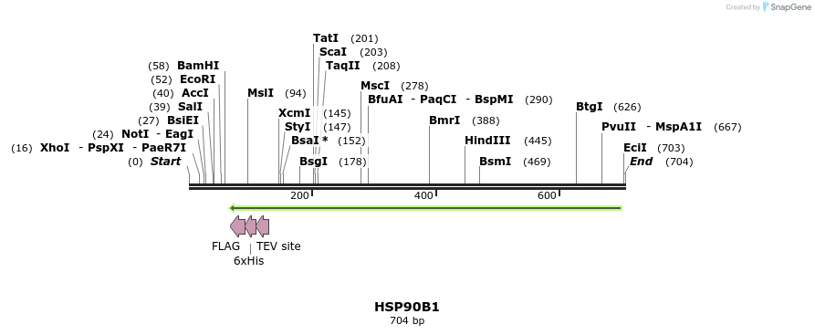 53308_map