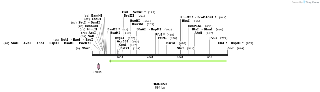 53310_map