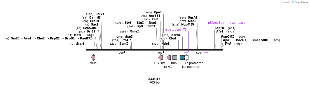 53312_map