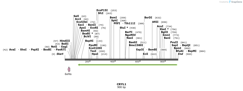 53313_map