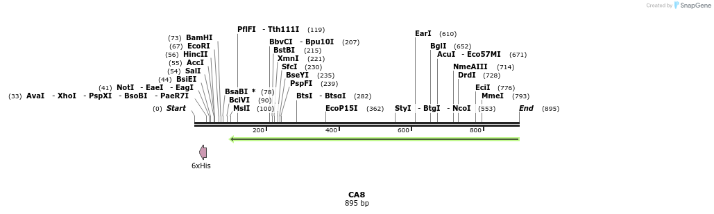 53314_map