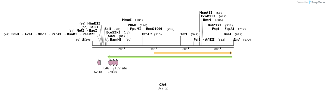 53316_map