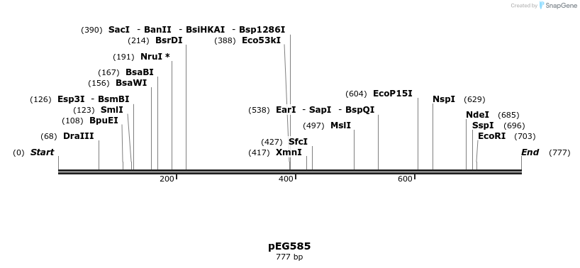 53318_map