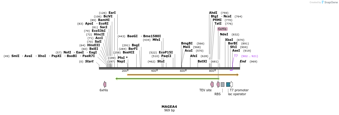 53319_map
