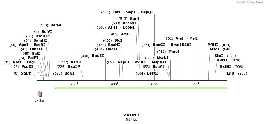 53322_map