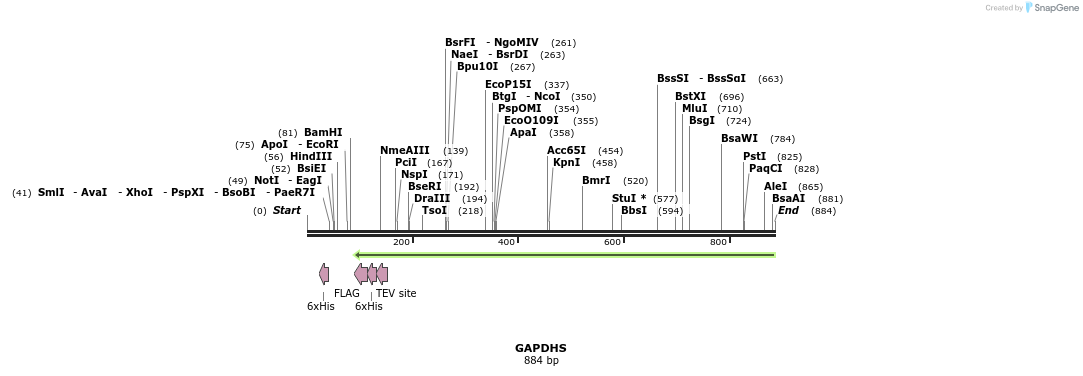 53327_map