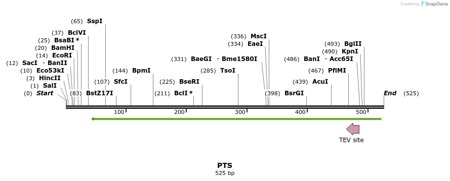 53333_map