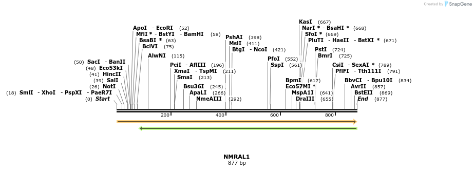 53337_map