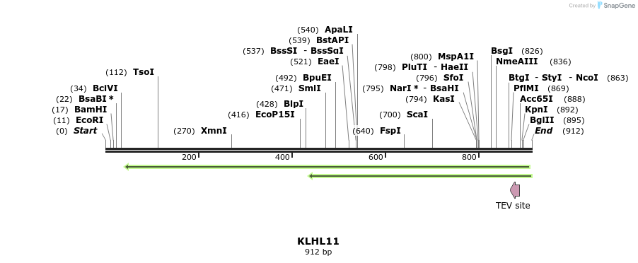 53340_map