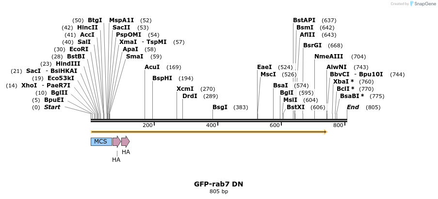 53341_map