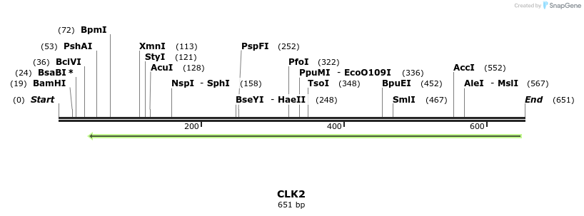 53343_map