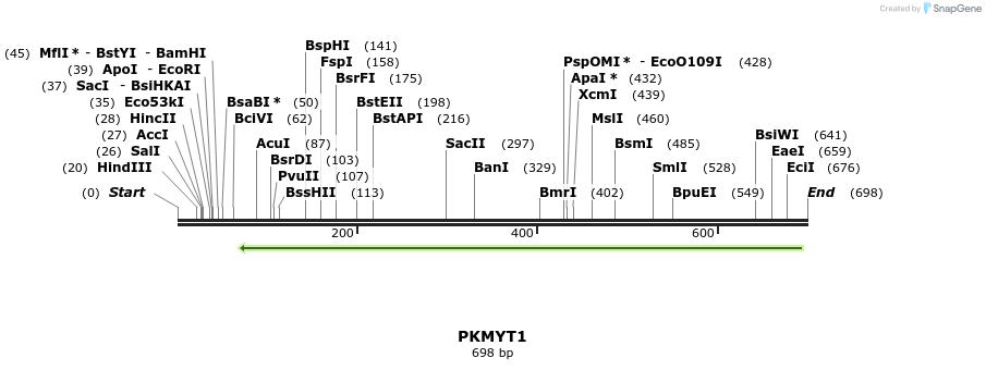 53344_map