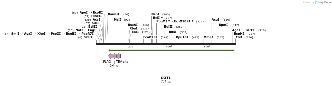 53346_map