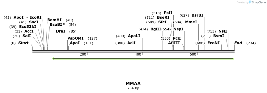 53347_map