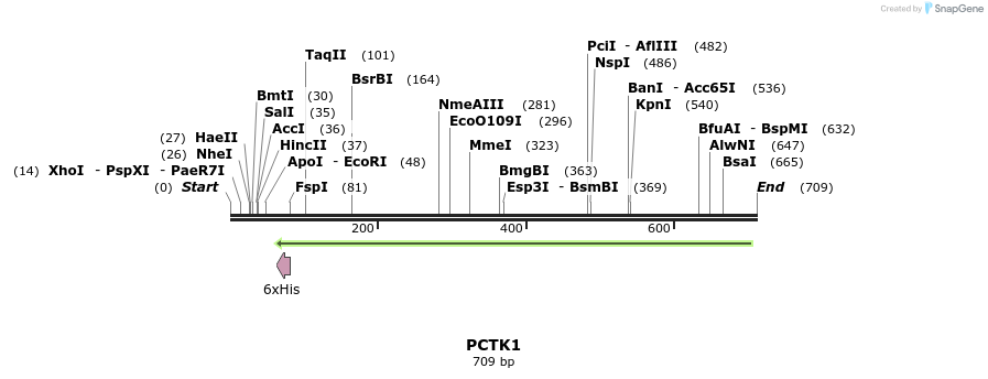 53349_map