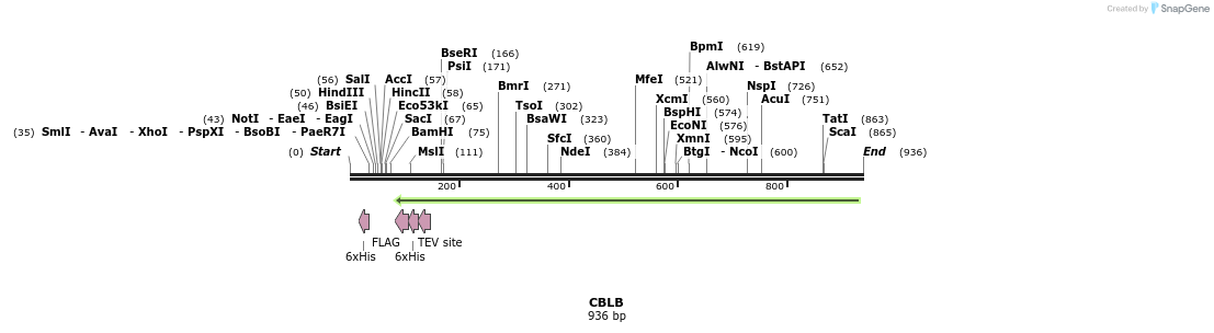 53351_map