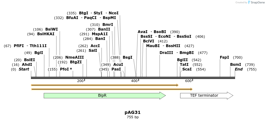 53356_map
