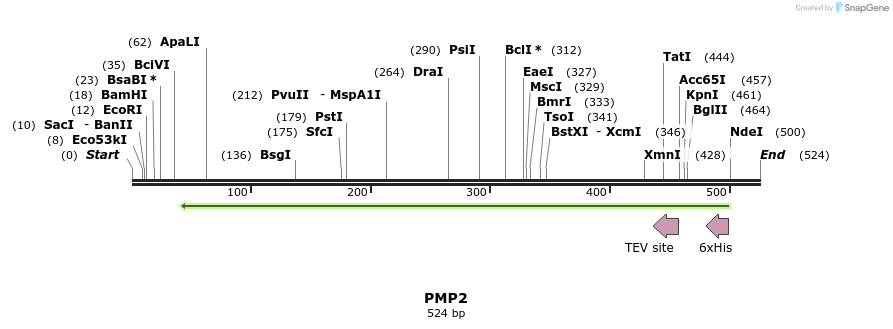 53357_map