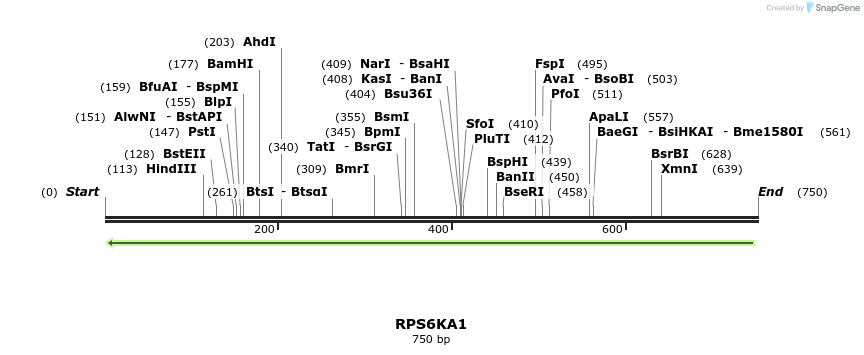 53359_map
