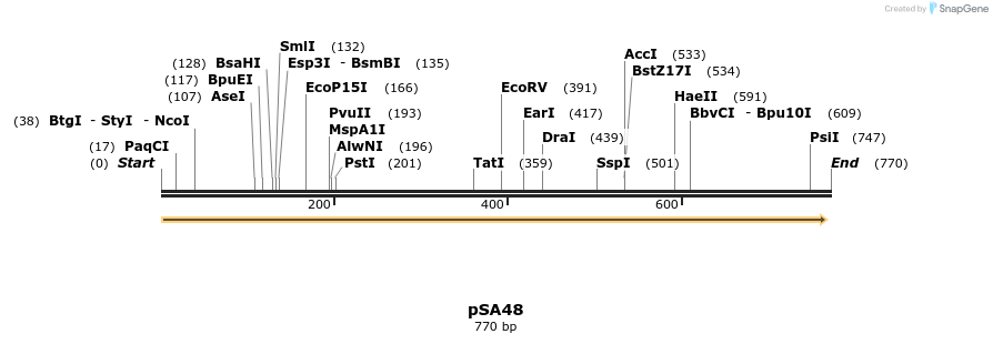 53361_map