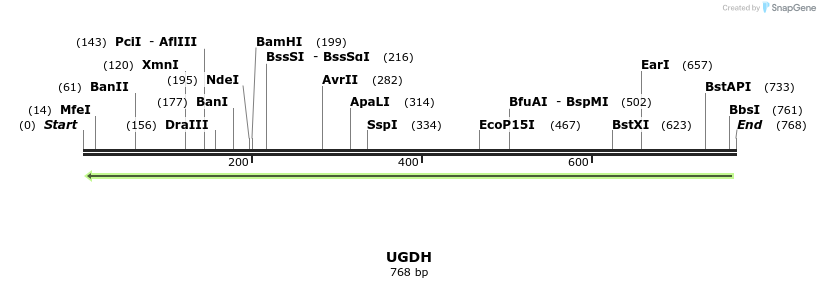 53362_map