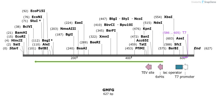 53364_map