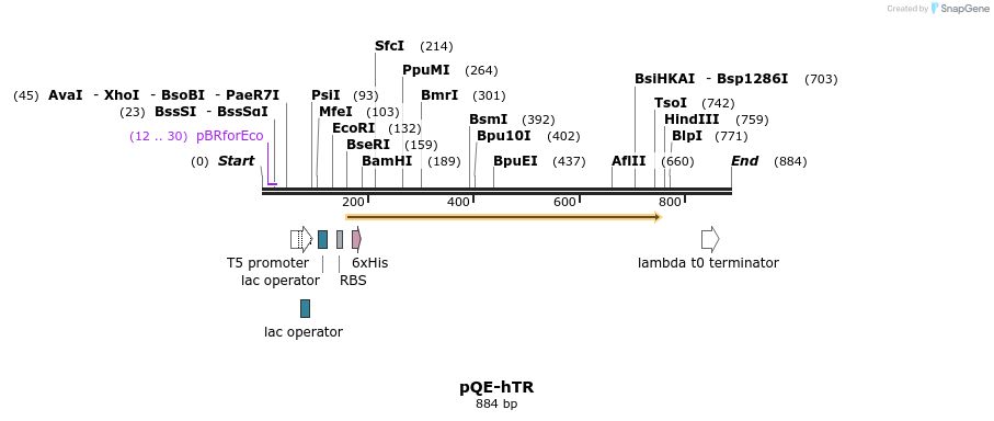 53366_map