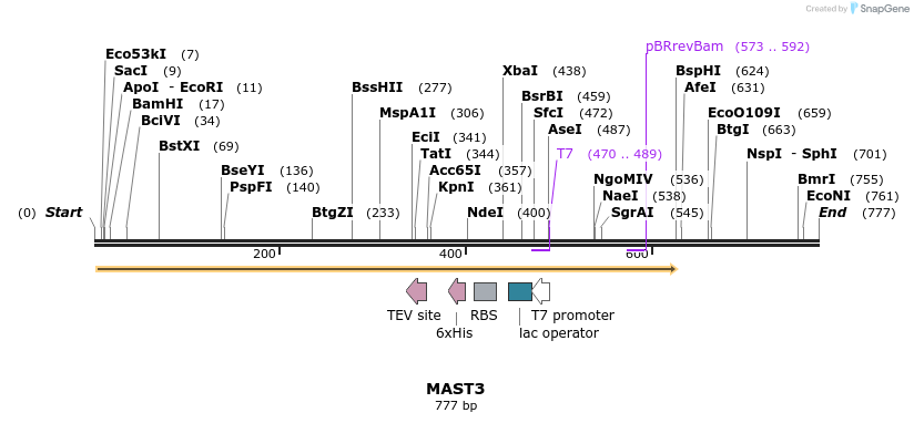 53372_map