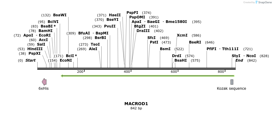 53374_map