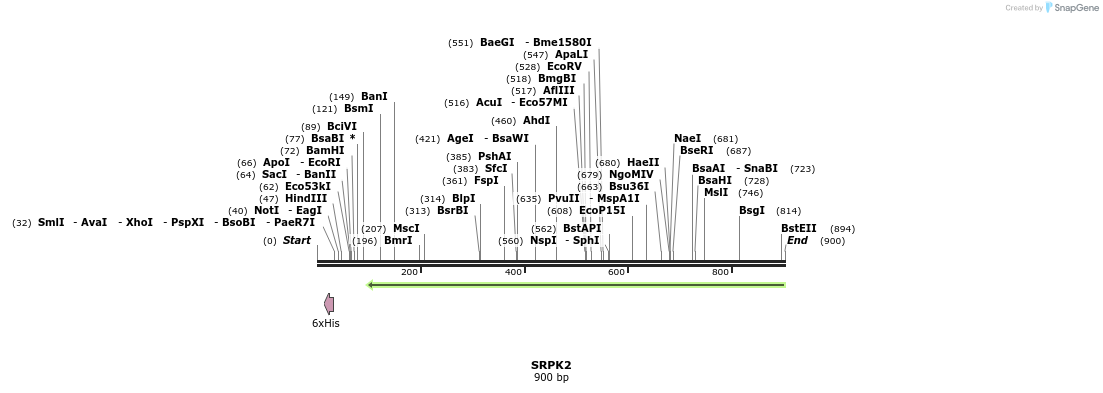 53376_map