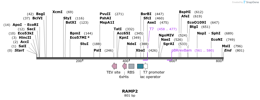 53379_map