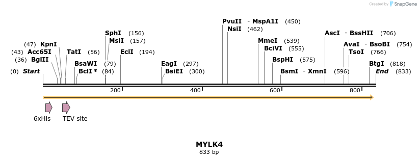53381_map