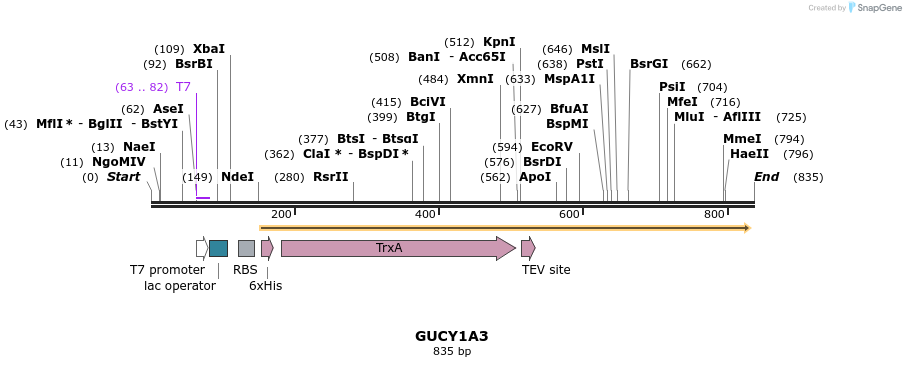 53383_map