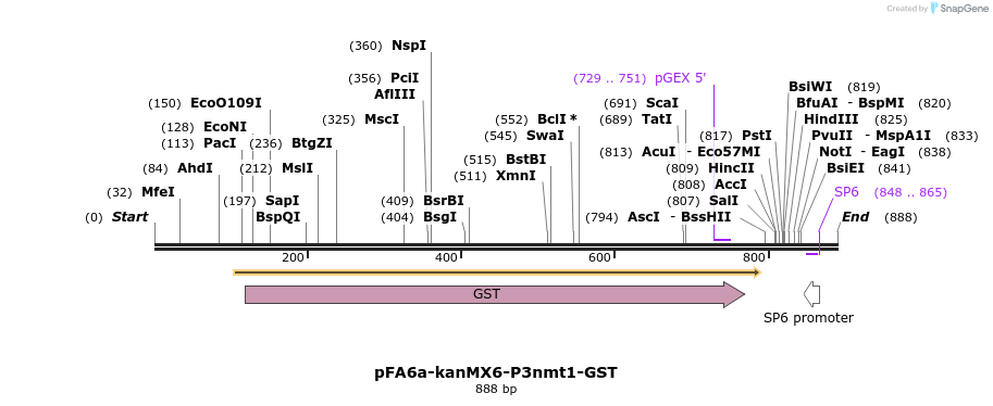 53384_map