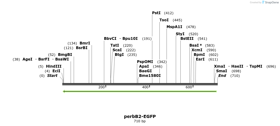 53388_map