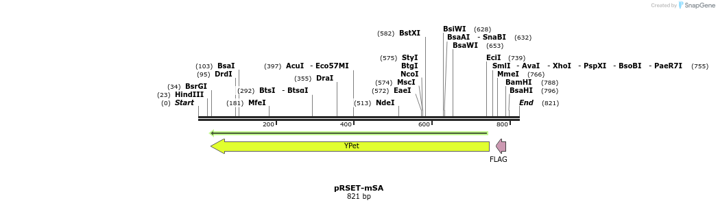 53390_map