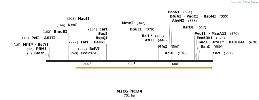 53397_map