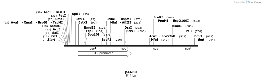 53398_map