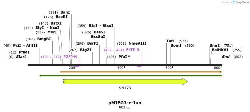 53402_map