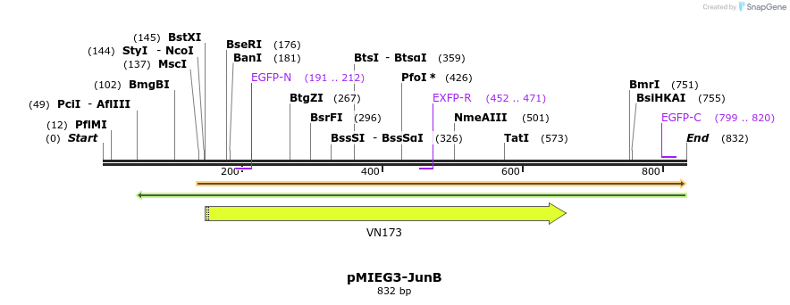 53404_map