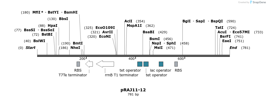 53411_map