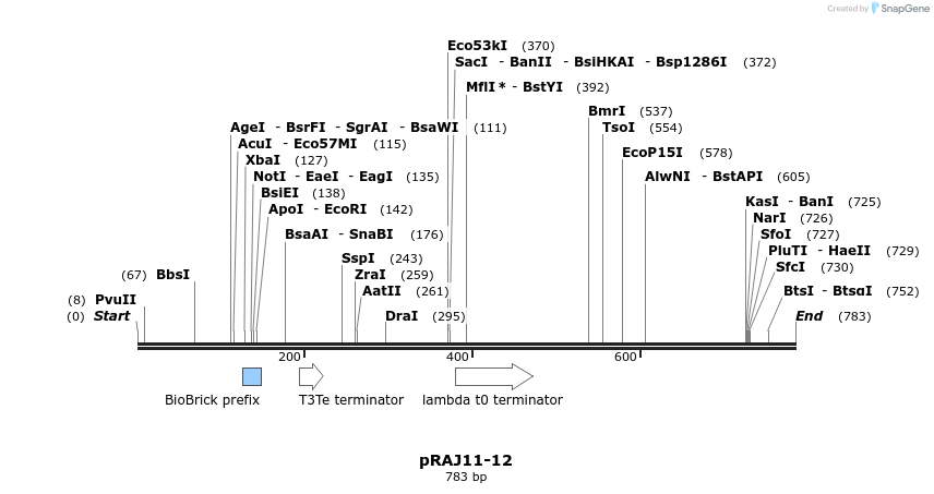 53412_map