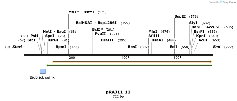 53413_map